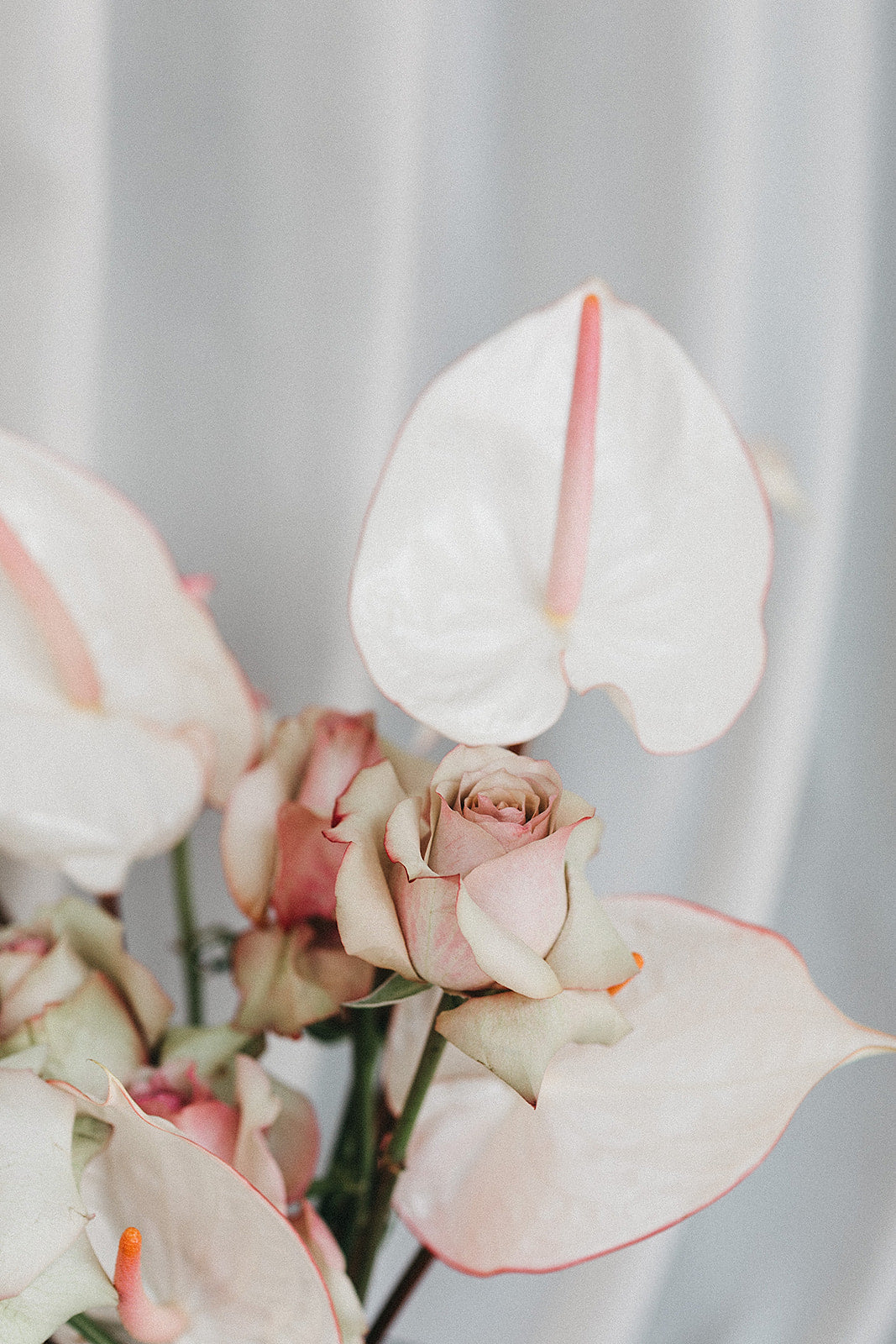 „Flamingo Vibes“