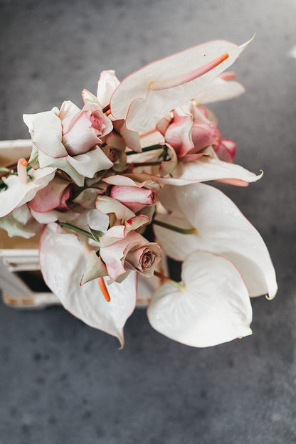 „Flamingo Vibes“